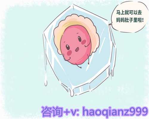上海三代试管婴儿包生男孩价格是多少？