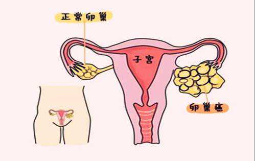 郑州借卵生殖中心，郑州助孕中介-郑州辅助生殖中心