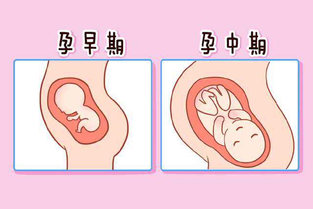 郑州助孕优惠，郑州多动症医院