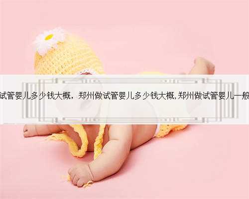 郑州做试管婴儿多少钱大概，郑州做试管婴儿多少钱大概,郑州做试管婴儿一般