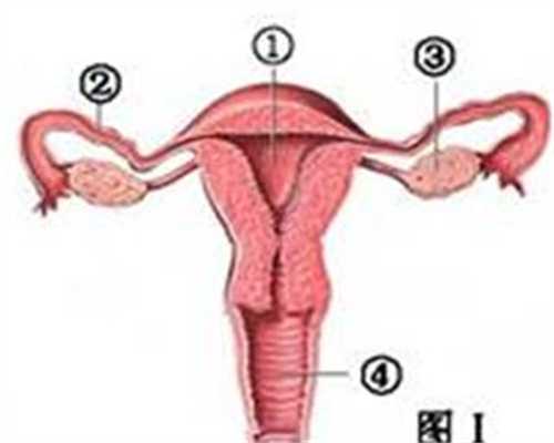 月经不调提示卵巢早衰？卵巢保养的秘密都在这了