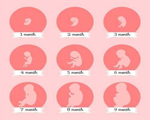 9个月宝宝发育指标