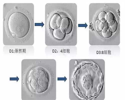 《中国居民口腔健康指南》代孕妇篇
