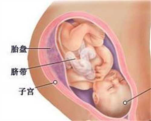 代孕如何计算排卵期