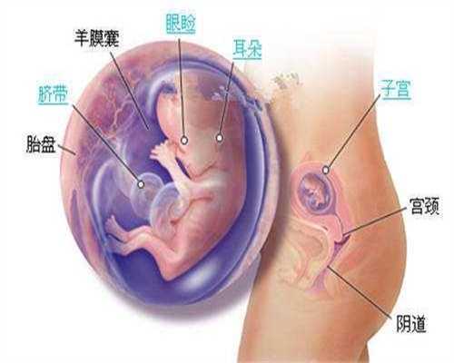 排卵后几天能测出代孕 排卵期有什么症状_女性不