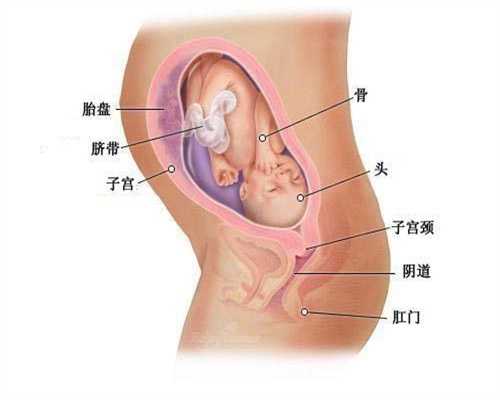 代孕机构：代孕36周需要做哪些检查