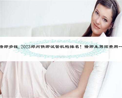 郑州借卵多钱,2023郑州供卵试管机构排名！借卵生男孩费用一览？