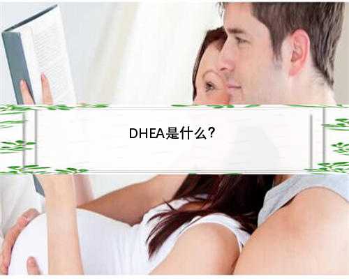 DHEA是什么？