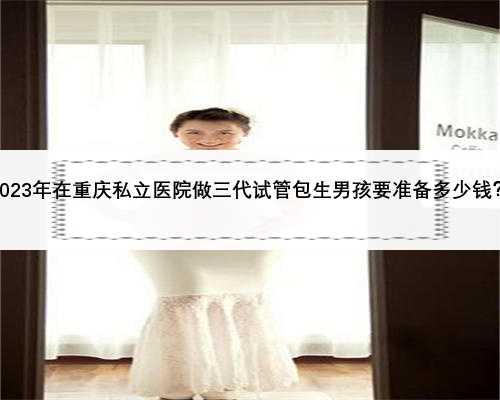 2023年在重庆私立医院做三代试管包生男孩要准备多少钱？